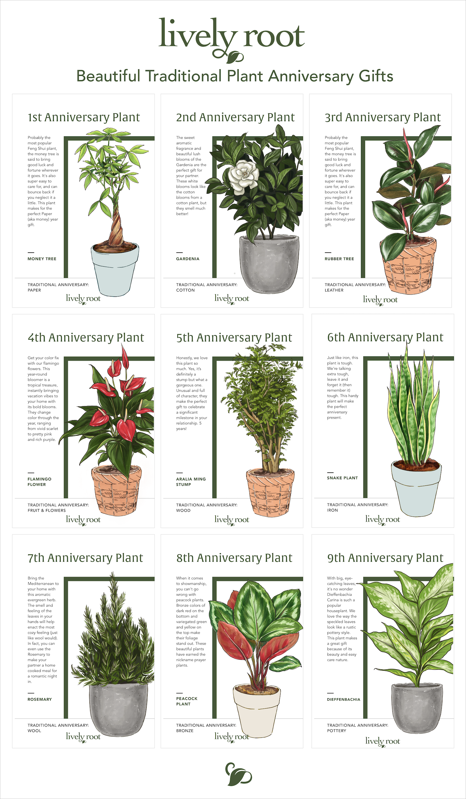 Wild Interiors — Plant Gift Ideas for Boss's Day