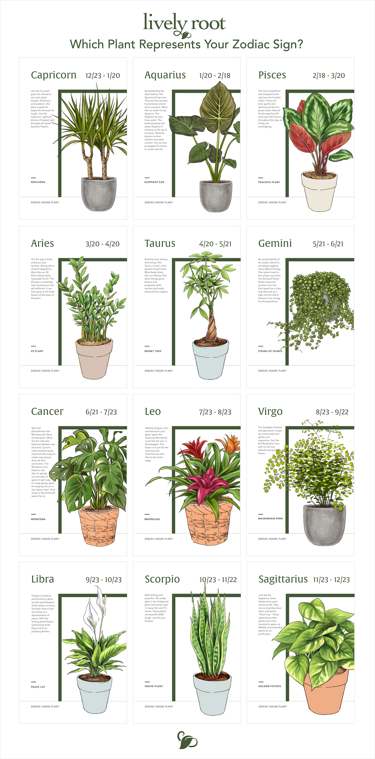 Which Plant Represents Your Zodiac Sign? | Lively Root