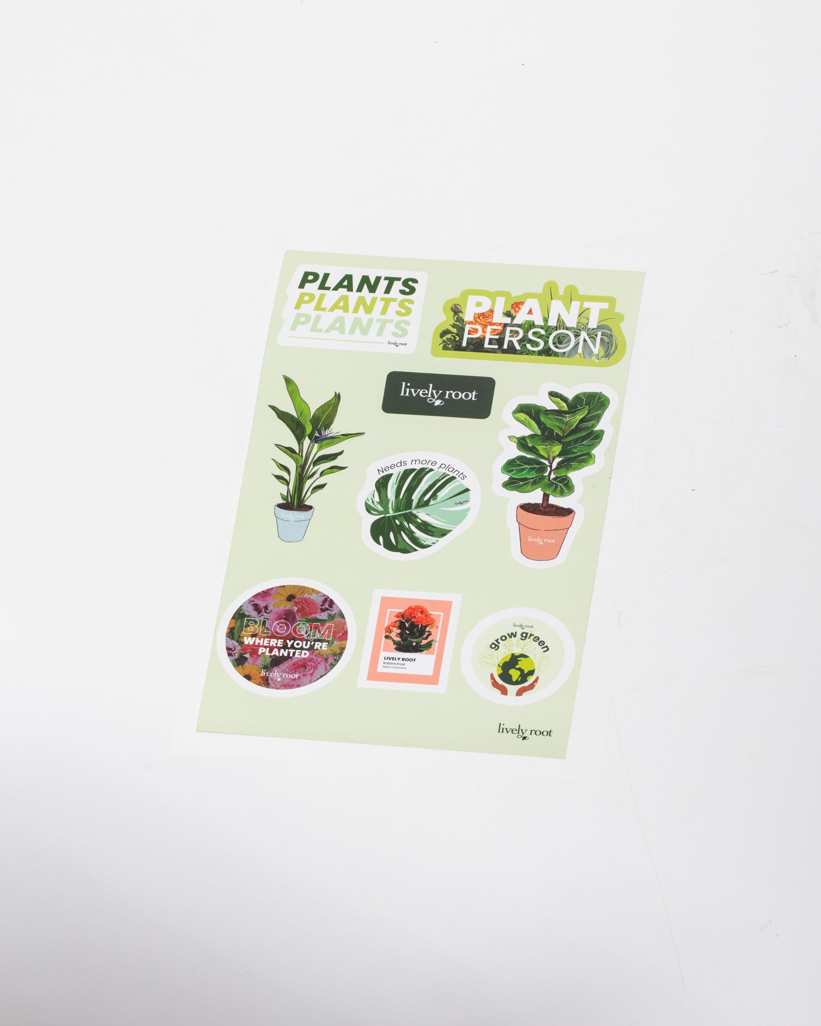 Plant Your Roots Sticker Pack - Vinyl Plant Stickers