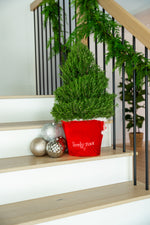 2.5' Living Rosemary Spiral Christmas Tree Featured Image