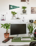 Dorm Room Jungle Featured Image