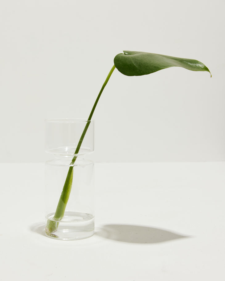 Bare It All Propagation Vase