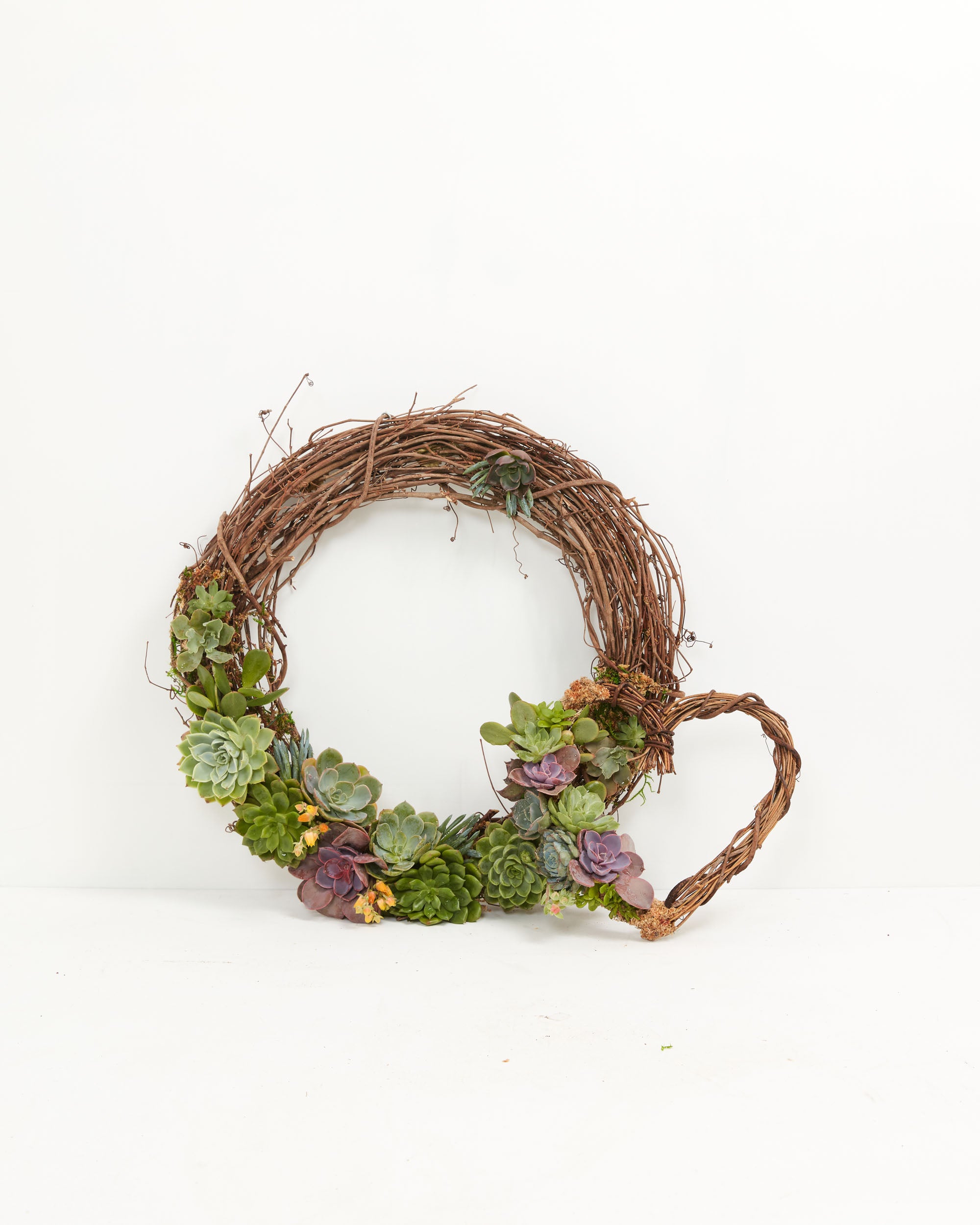 Fresh Live Succulent Wreath, Heart-Shaped