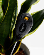 Thermometer, Soil Thermometer, Durable Indoor Plants For Gardens